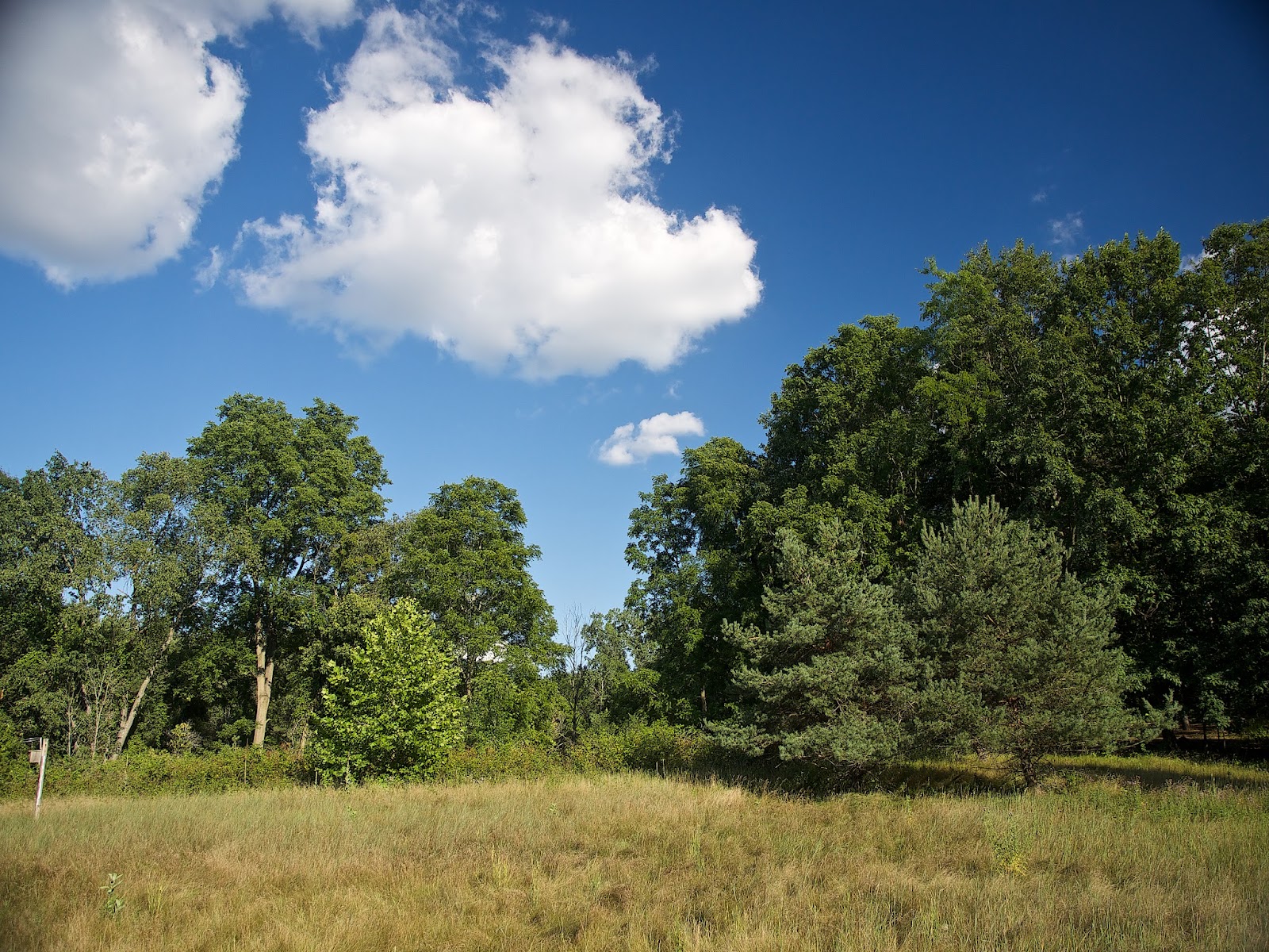 Fenner Nature Center main photo