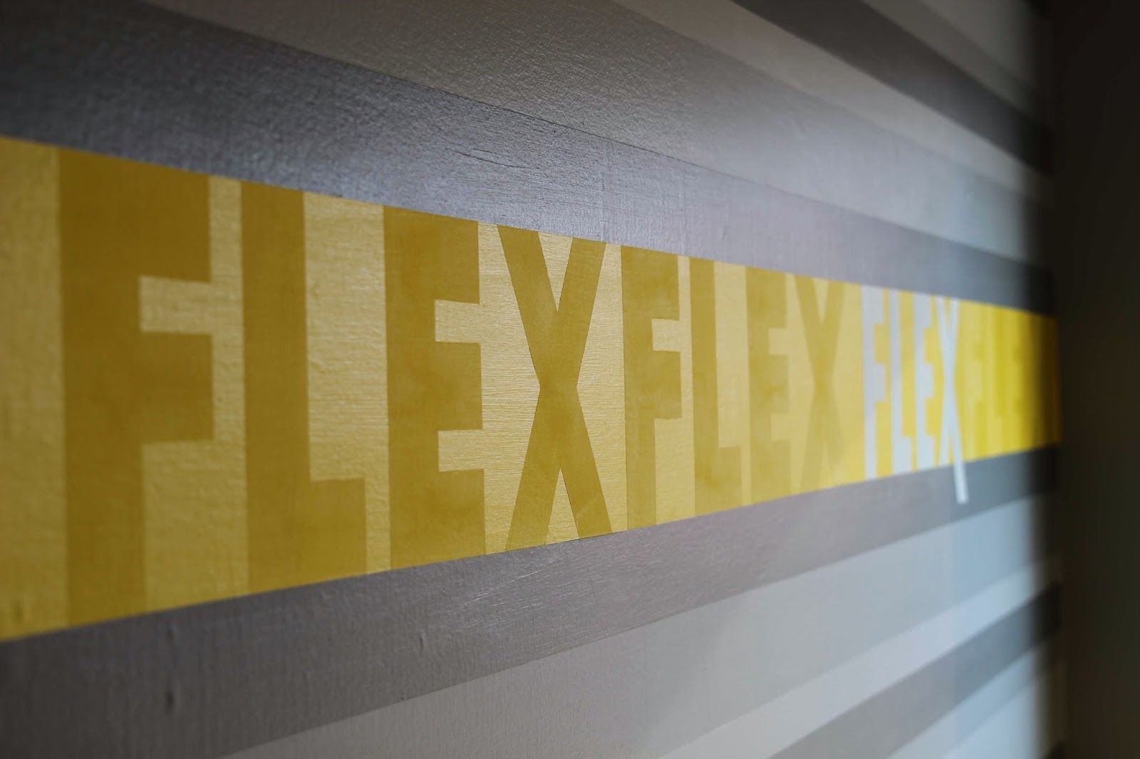 FLEXcity Fitness in Lansing