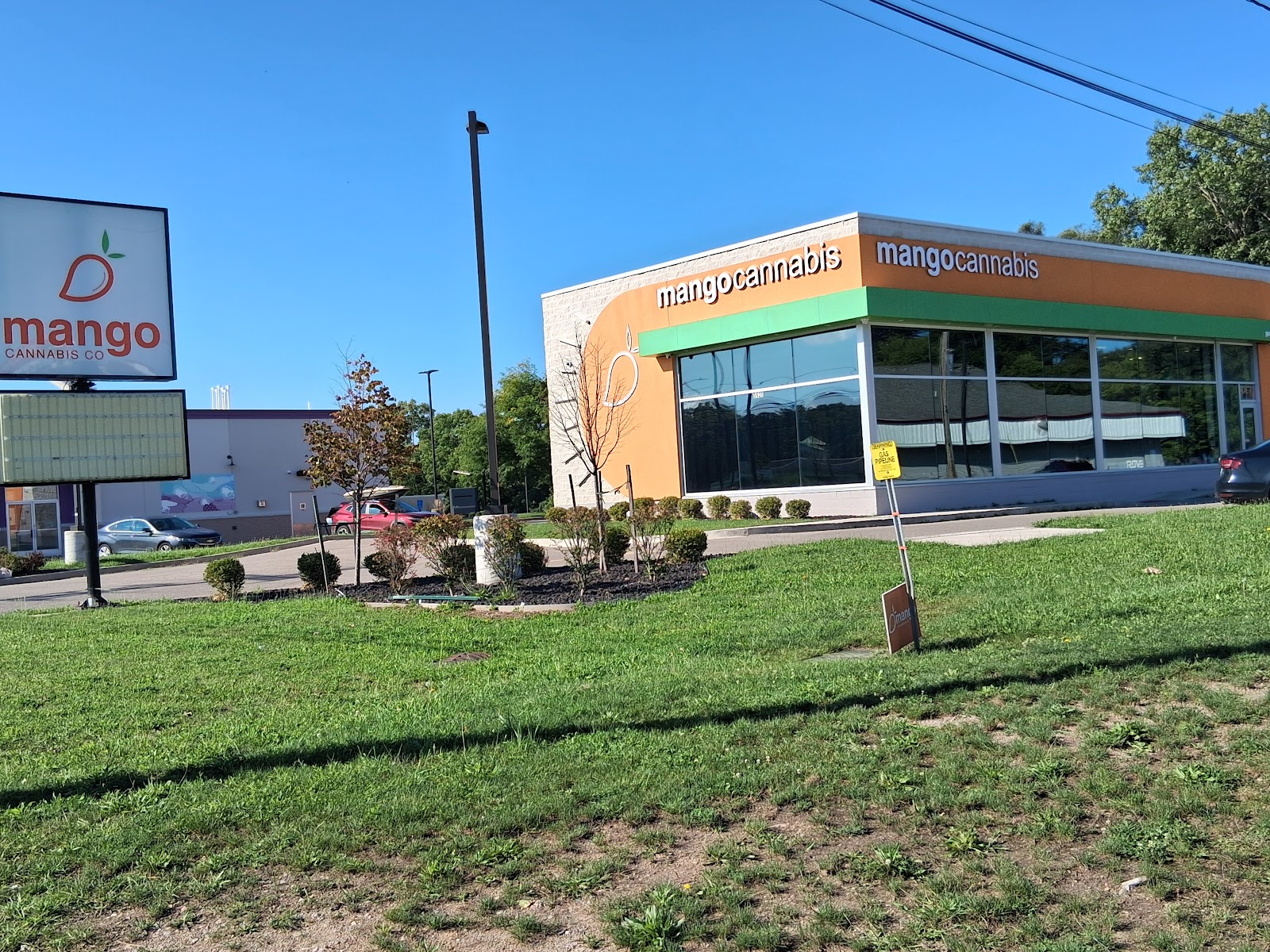 Mango Cannabis Recreational Weed Dispensary Lansing main photo