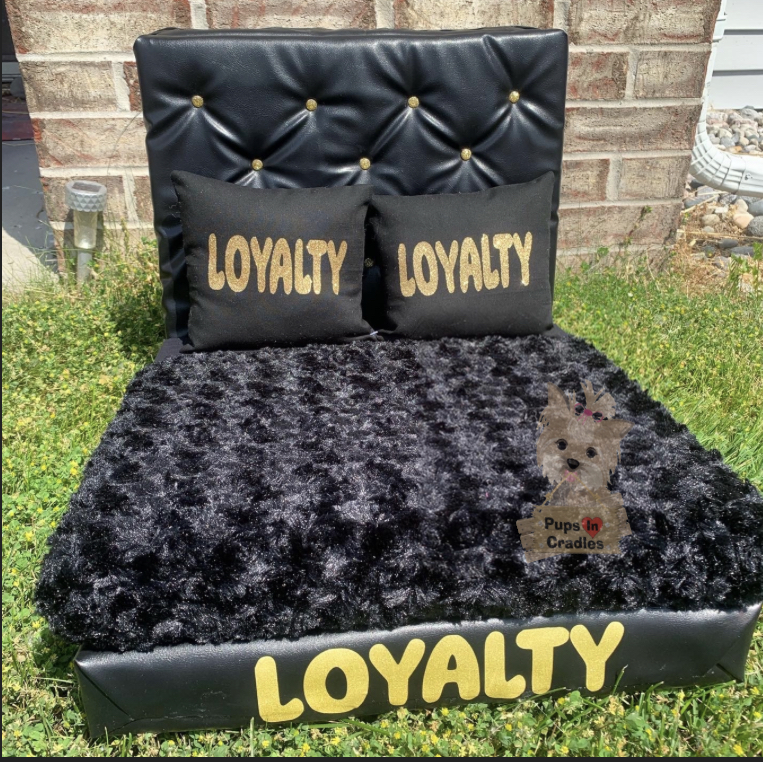 Pups In Cradle in Lansing