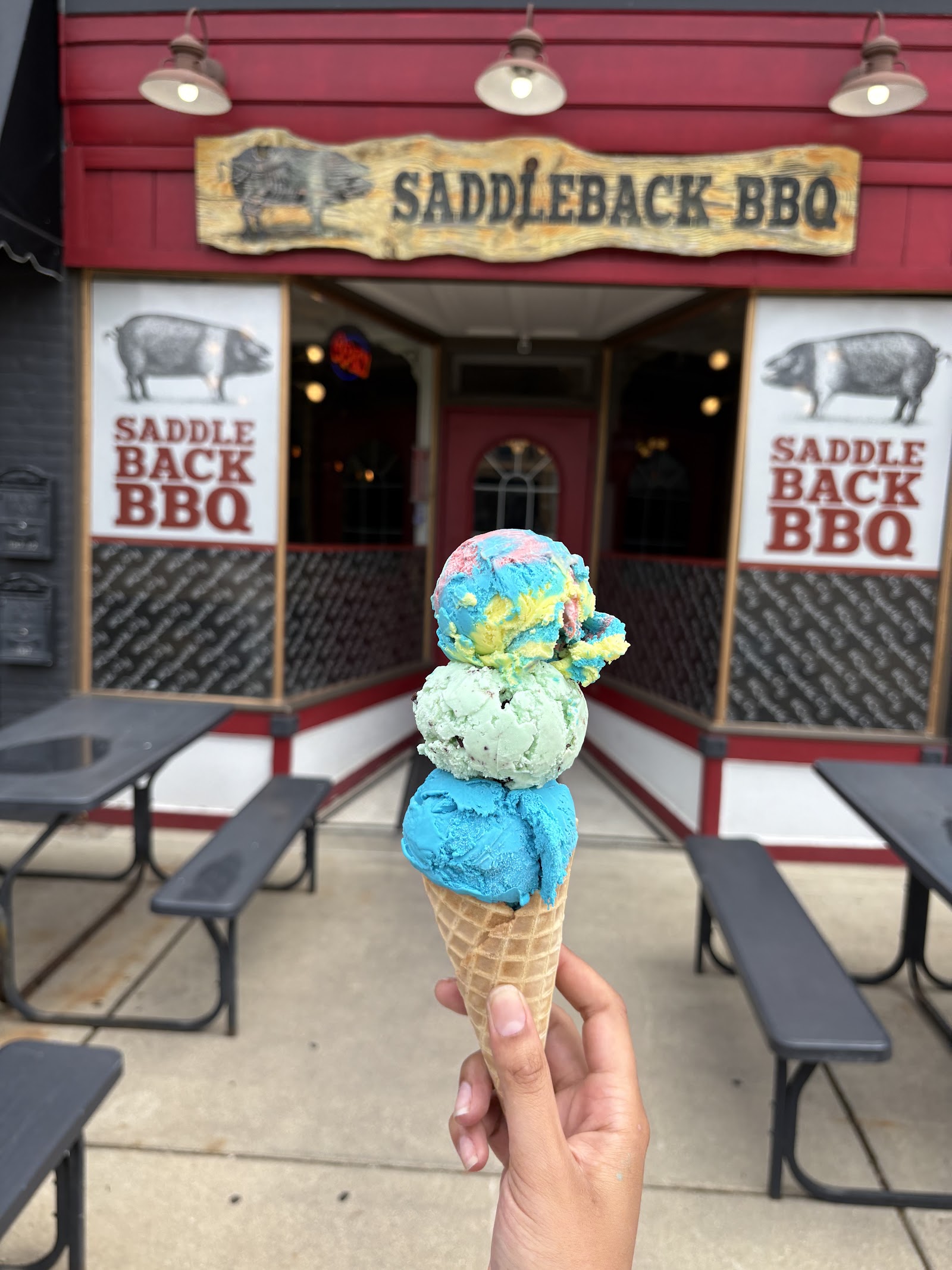 Saddleback Ice Cream - REO Town — photo