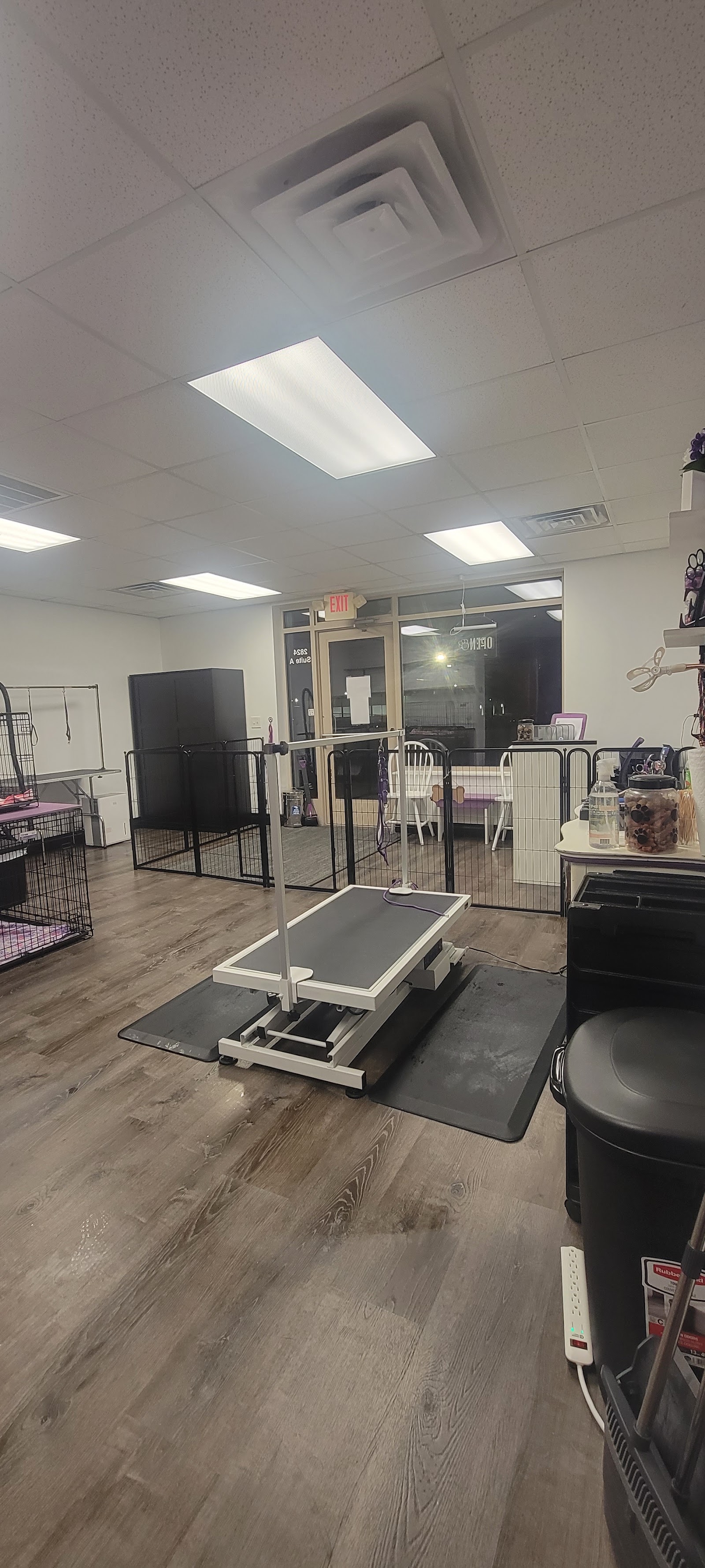Sittin Pretty Pet Grooming Salon, LLC — photo