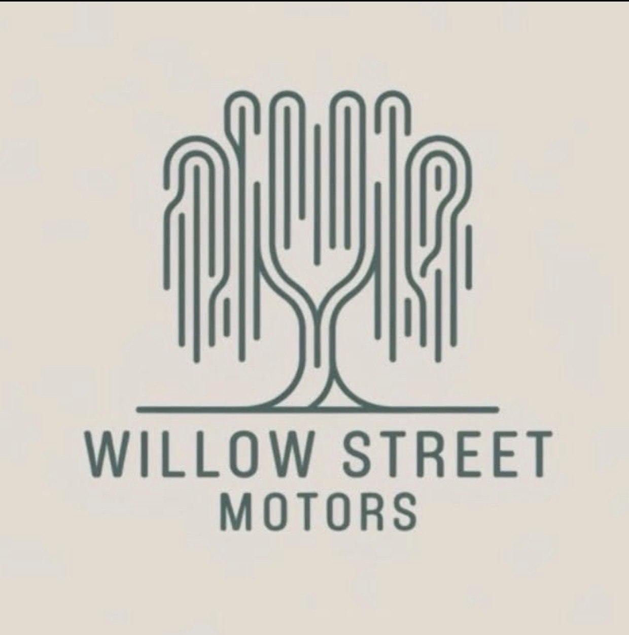 Willow Street Motors in Lansing